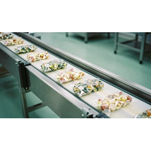 Conveyor Food